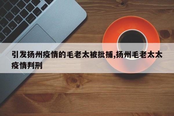 引发扬州疫情的毛老太被批捕,扬州毛老太太疫情判刑
